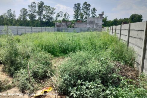 On main Chandigarh-Ambala Highway, opposite Steel & Strip Society, Adjoing Bhushan Factory, Dera Bassi