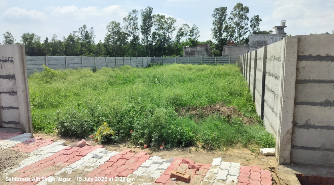 On main Chandigarh-Ambala Highway, opposite Steel & Strip Society, Adjoing Bhushan Factory, Dera Bassi