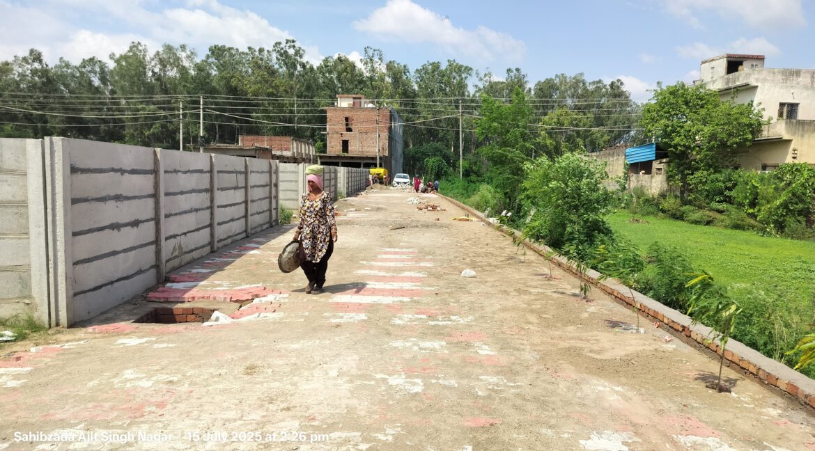 On main Chandigarh-Ambala Highway, opposite Steel & Strip Society, Adjoing Bhushan Factory, Dera Bassi