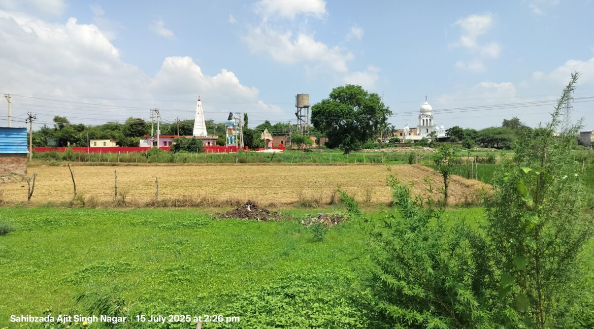 On main Chandigarh-Ambala Highway, opposite Steel & Strip Society, Adjoing Bhushan Factory, Dera Bassi